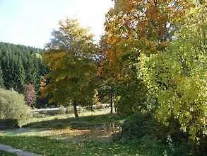 Berleburger Muhle 2 Appartamento